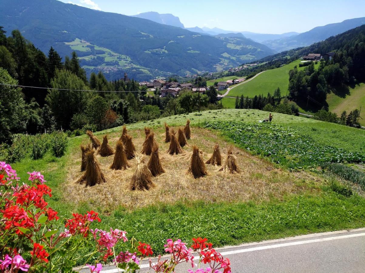 Вилла Obermoserhof Фельдтурнс Экстерьер фото